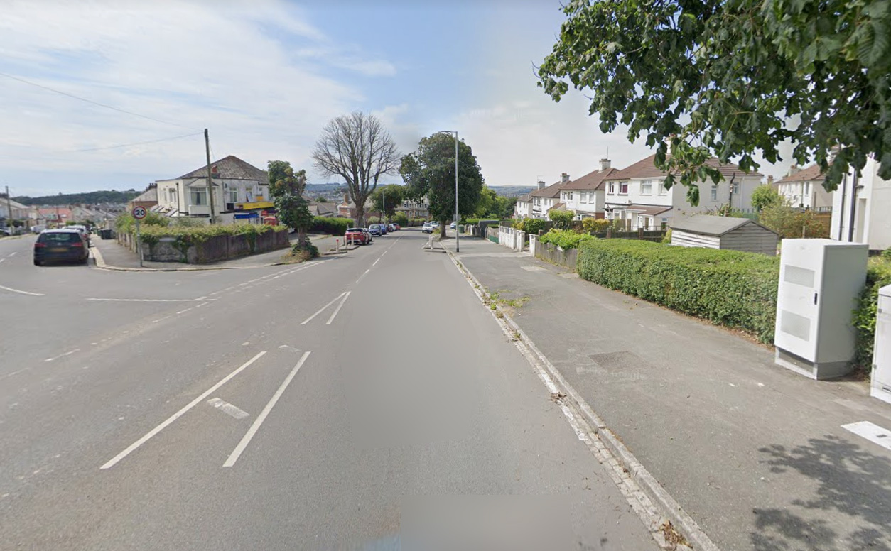 Beacon Park Road Plymouth Tree People