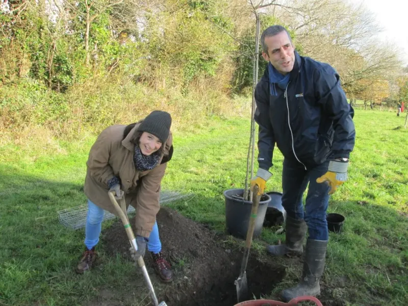 Family Tree Scheme | Plymouth Tree People