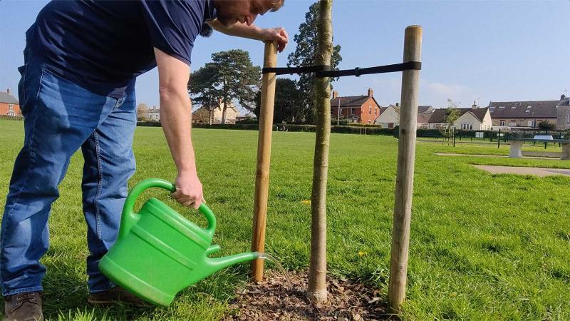 Watering trees is vital during the summer months