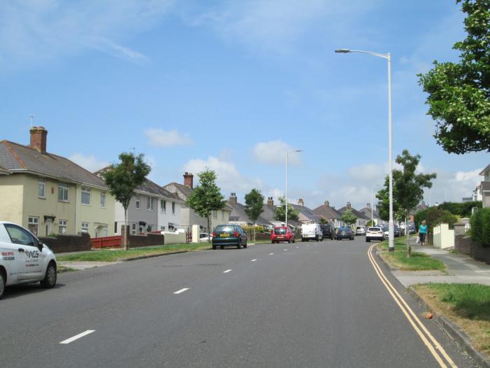 Pemros Road after planting, in 2023