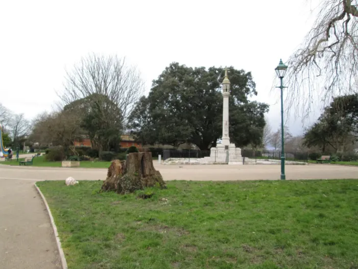 Devonport Park trees
