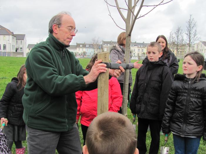 Andrew demonstrating the tree ties