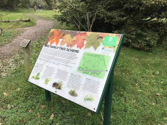 Second interpretation board
