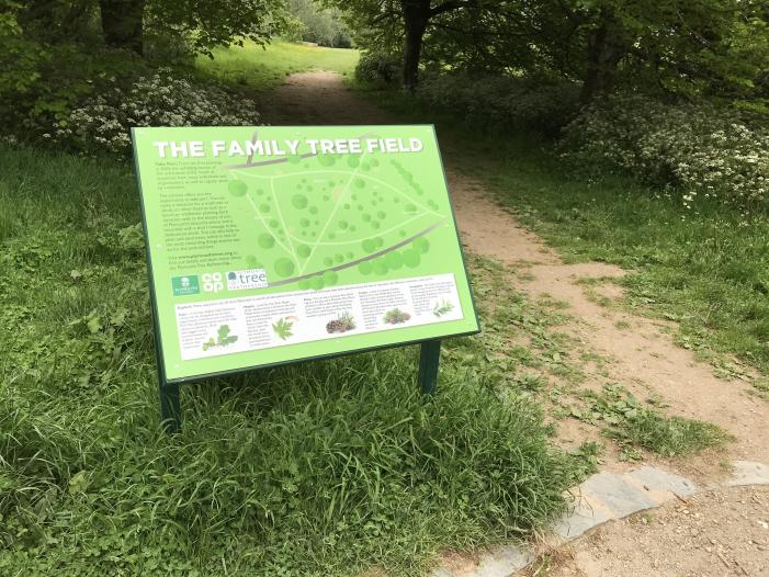 Third interpretation board