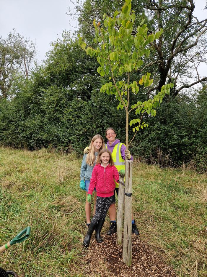 Taster session for new Tree Wardens Sept 2024