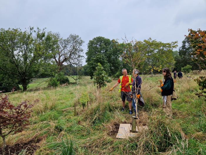 Taster session for new Tree Wardens Sept 2024