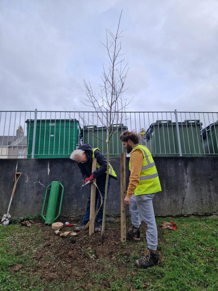 David and Jack attaching the ties