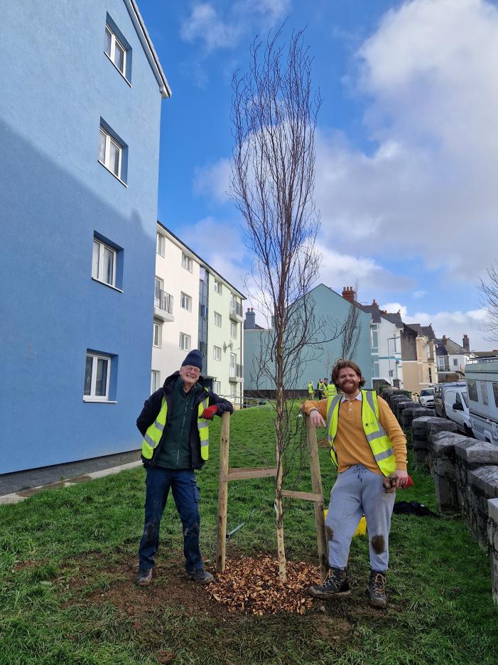David and Jack, planted a silver birch