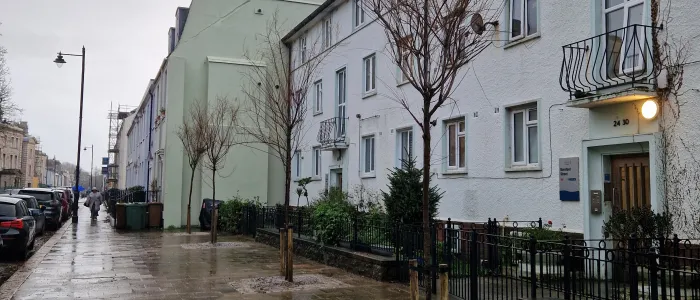 6 new trees in total