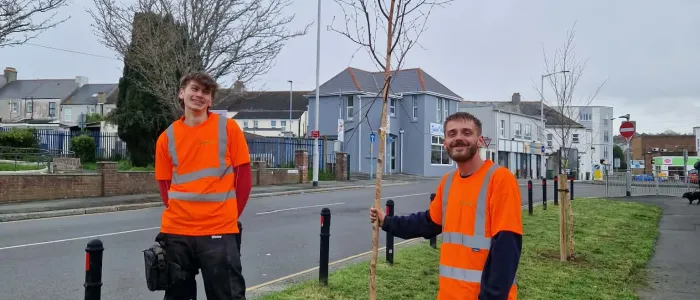 The Arborcure team were fantastic