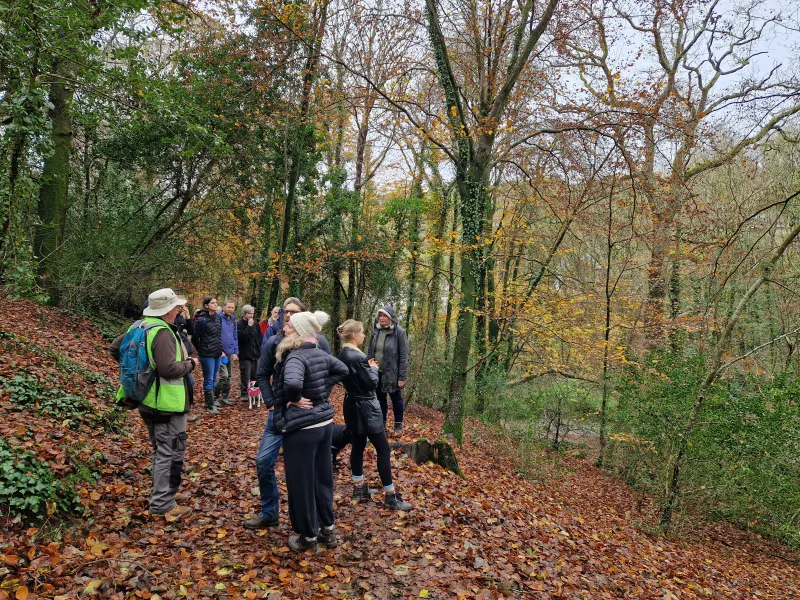 Ham Wood