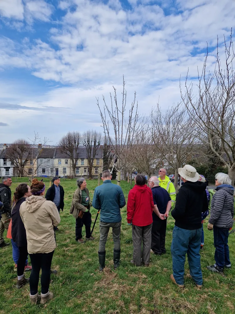Learning how to work on young trees