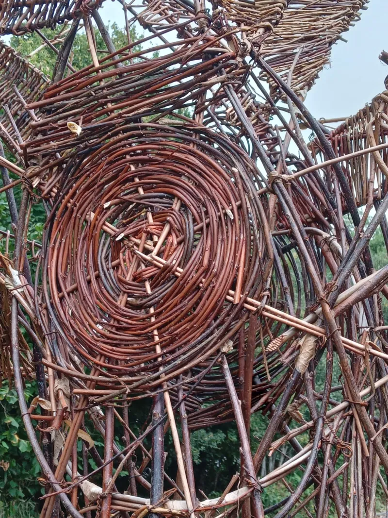 Beautiful willow swirls