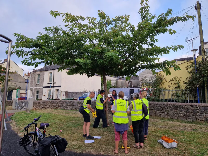 Looking at a cherry tree