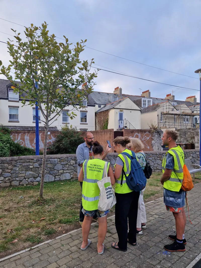 While another group look at a Whitebeam
