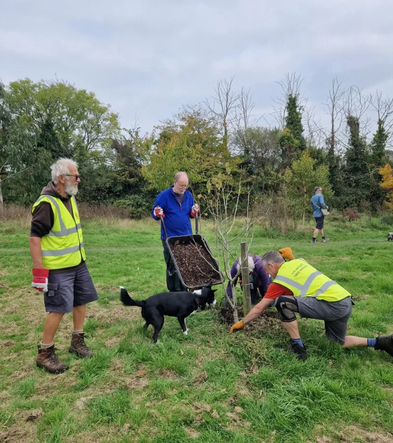 Martin, Andy and Chris with help from Nala