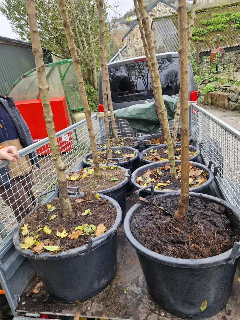 A snug fit on the trailer