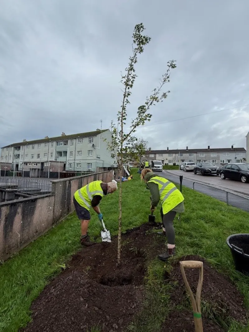 Martin and Sadie digging