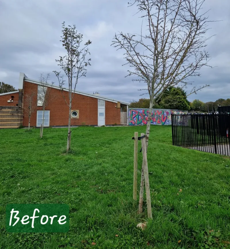 Stonehouse Creek before