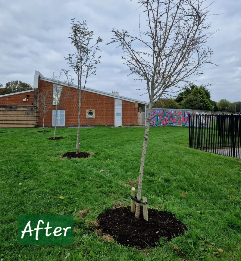 Stonehouse Creek after - Looking great!