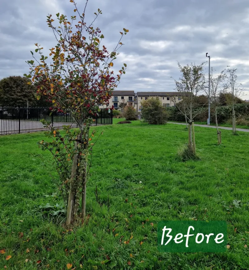 Stonehouse Creek before