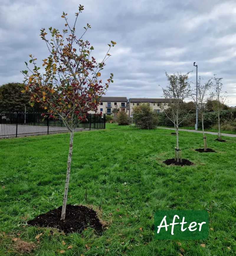 Stonehouse Creek after