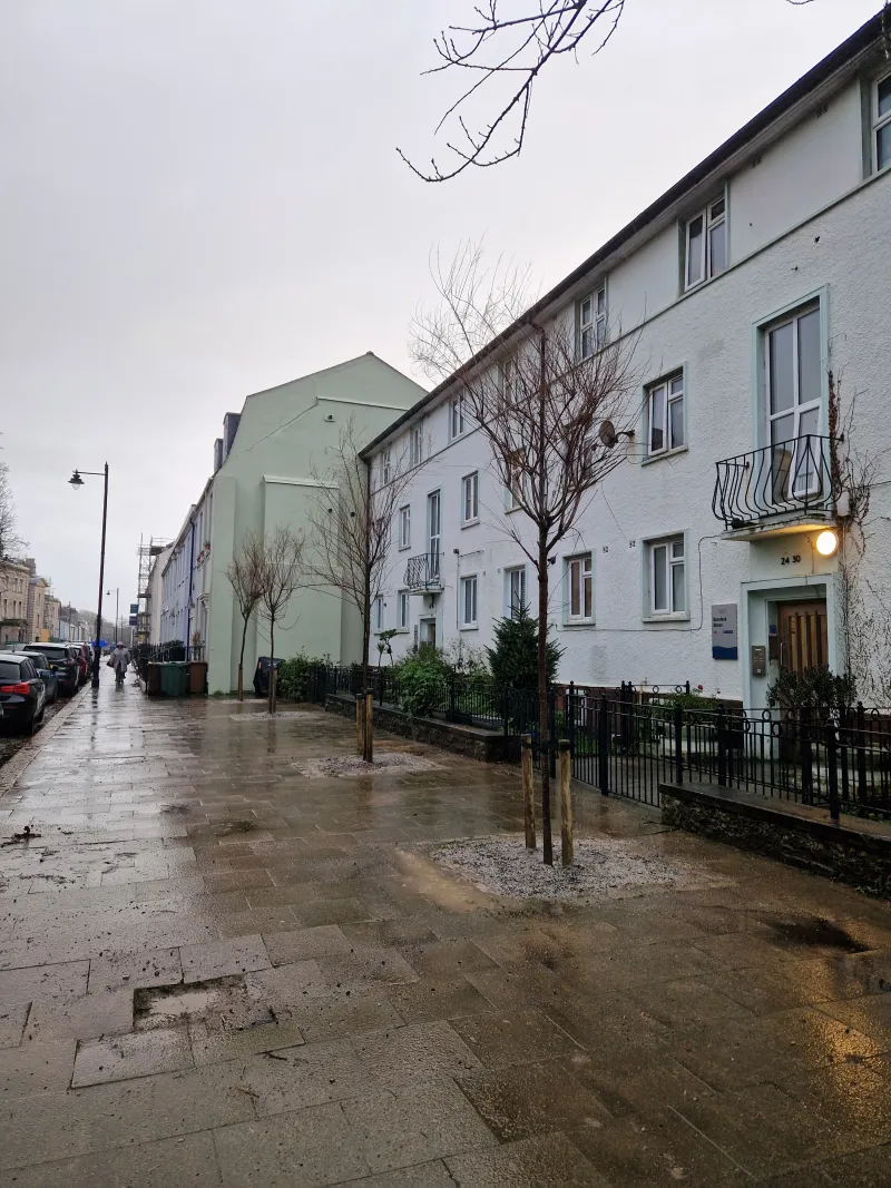 6 new trees in total