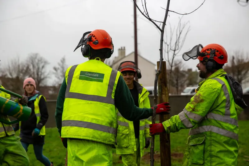The guys from Glendale