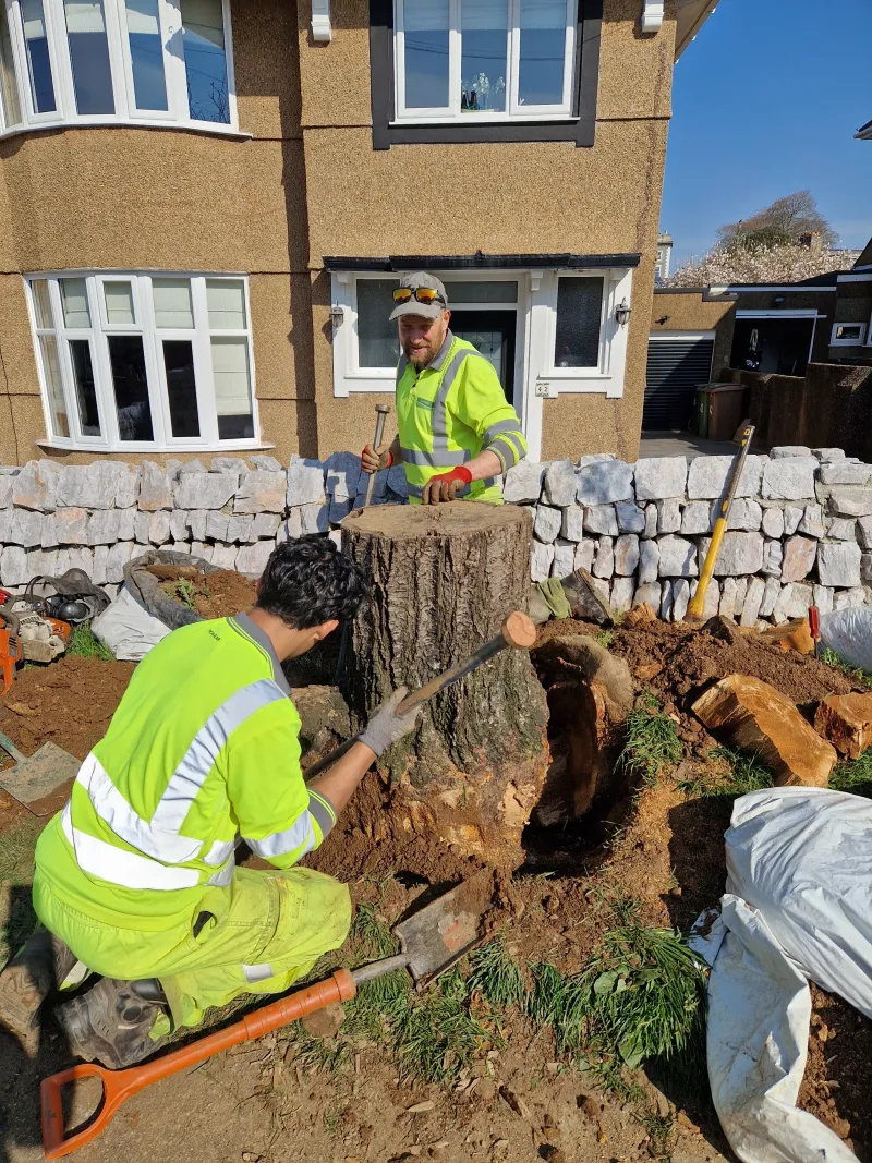 Bigger than expected!