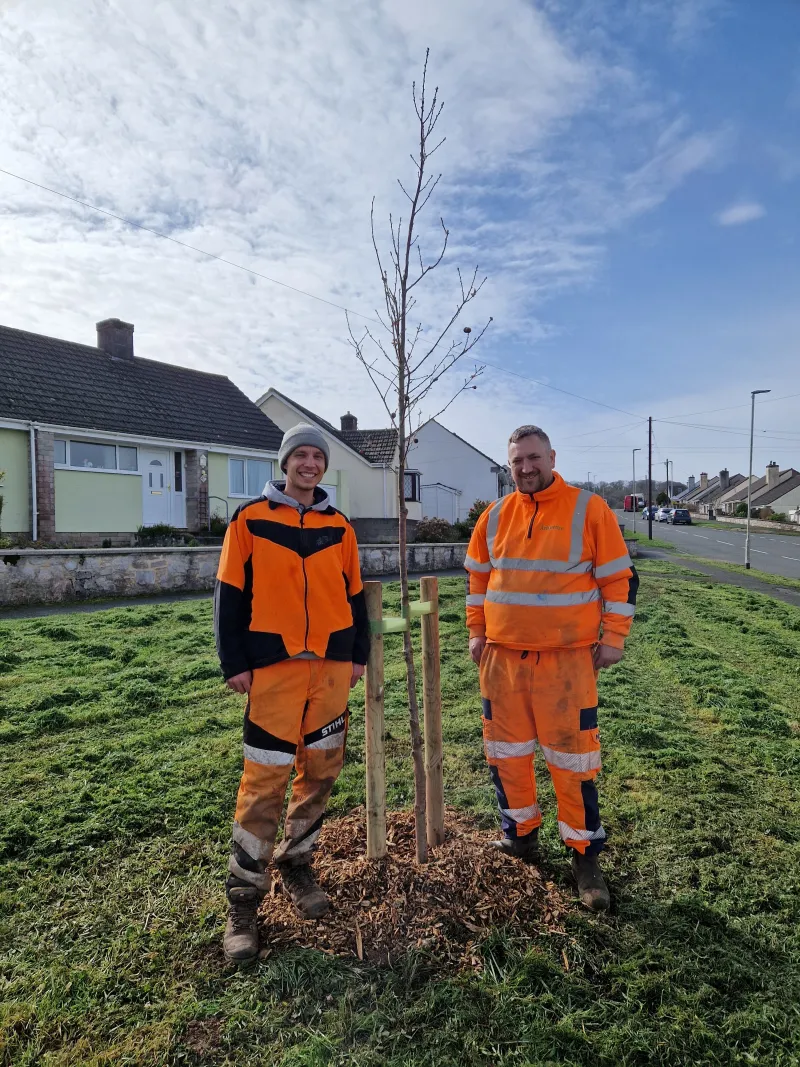 Aborcure were contracted to plant some of the trees and support