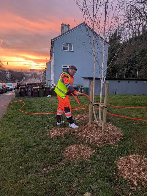 Tree watering
